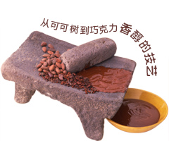 从可可树到巧克力