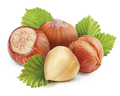 波兰 Doti Chocolate 多蒂巧克力 Doti czekolada 榛仁夹心黑巧克力2