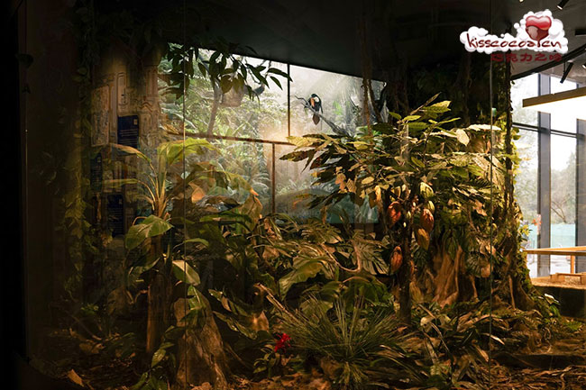 Chocolate Factory Museum E.Wedel, Polska 波兰 E.Wedel 埃·韦德尔巧克力工厂博物馆 Poland E.Wedel Muzeum Fabryka Czekolady 40