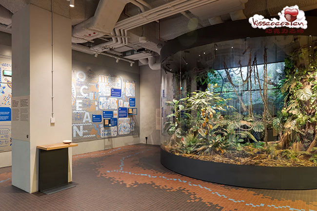 Chocolate Factory Museum E.Wedel, Polska 波兰 E.Wedel 埃·韦德尔巧克力工厂博物馆 Poland E.Wedel Muzeum Fabryka Czekolady 52
