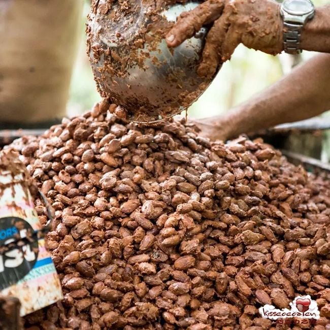 秘鲁 ChocoSombra 乔科索姆布拉巧克力 秘鲁 ChocoSombra 乔科索姆布拉巧克力6