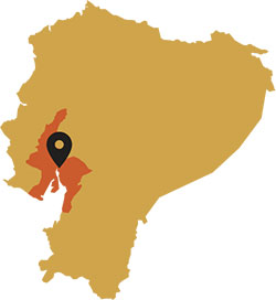 委内瑞拉 Carabobo 卡拉沃博可可种植区 委内瑞拉 Carabobo 卡拉沃博可可种植区