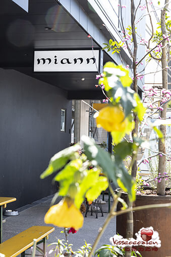 新西兰奥克兰 miann 的巧克力店 新西兰奥克兰 miann 的巧克力店33
