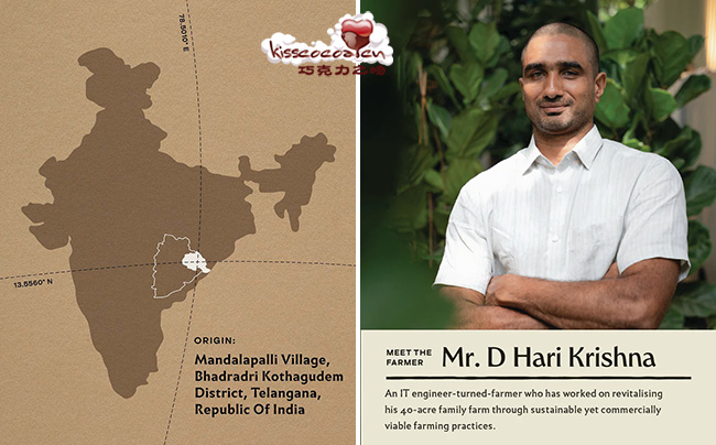 印度共和国特伦甘纳邦巴德拉德里科塔古德区曼达拉帕利村 D Hari Krishna 先生种植的可可豆