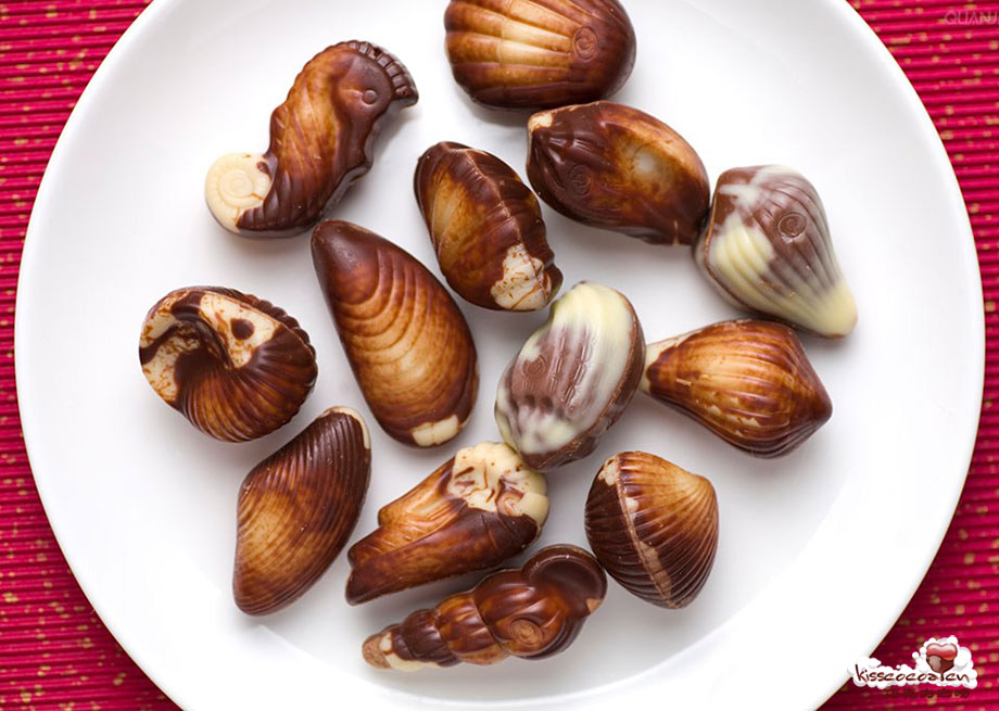 Chocolate Seashells 海贝巧克力