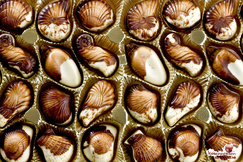 Chocolate Seashells 海贝巧克力4