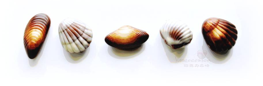 Chocolate Seashells 海贝巧克力2