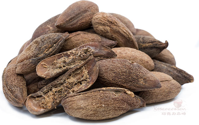 Mamey sapote 的种子