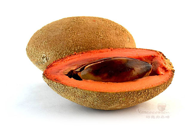 Mamey sapote