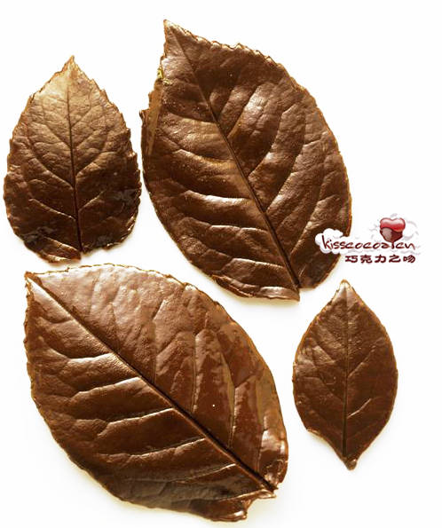 纹理清晰的巧克力叶子
