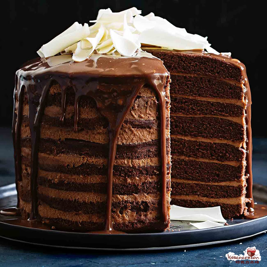 Chocolate Mousse Cake 巧克力慕斯蛋糕1